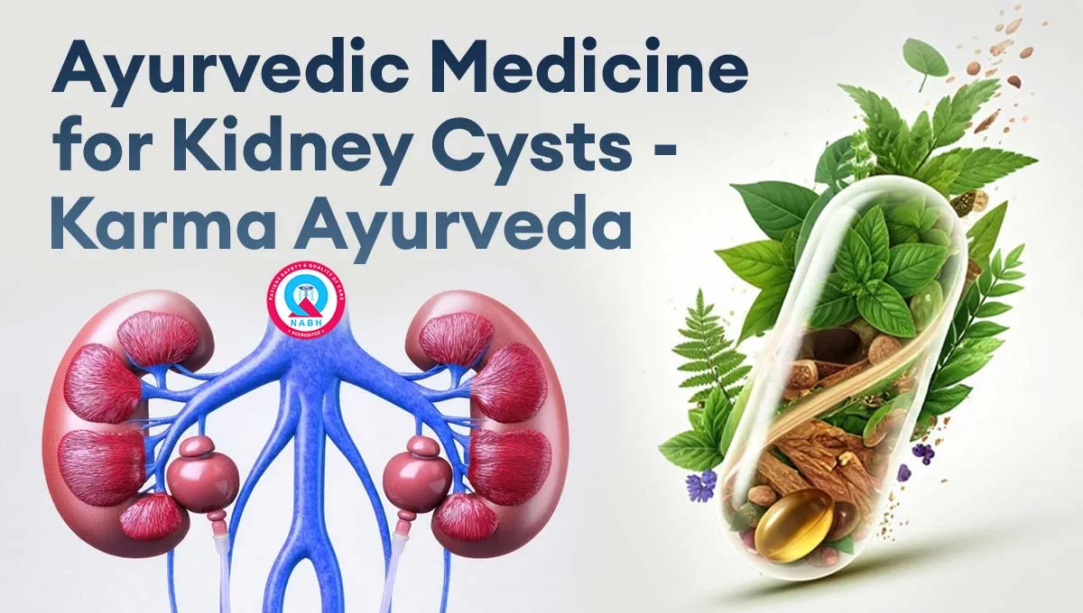 ayurvedic-medicine-for-kidney-cysts